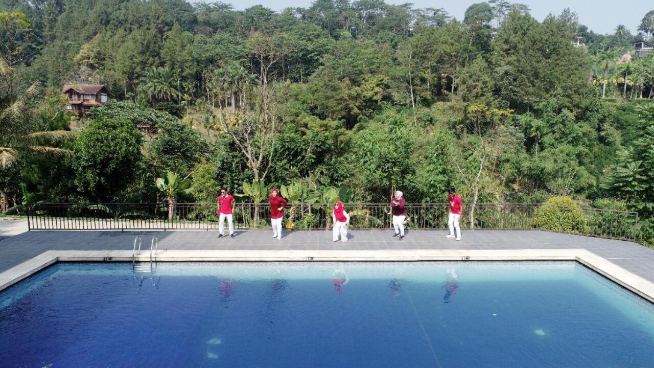 Albero Hotel 3*