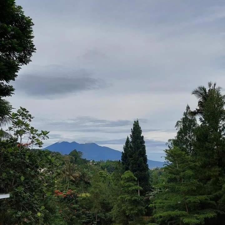 Hotel Albero 3*