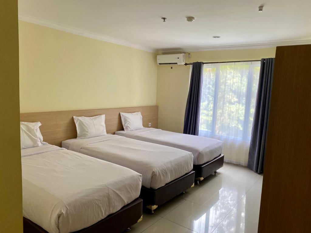 Hotel Albero 3*